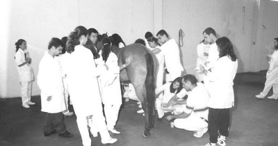 Medicina Veterinária, 1999 (Foto Divulgação)