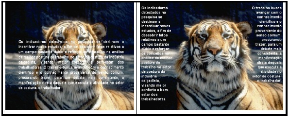 Figura de Fundo