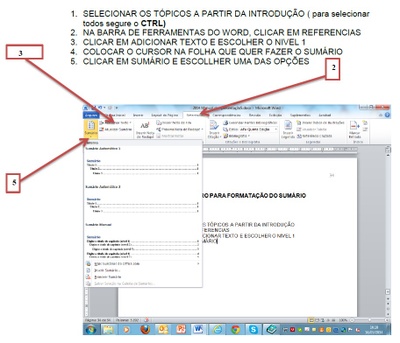 Roteiro para Formatação do Sumário Automático