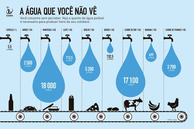 Litros usados em bens de consumo