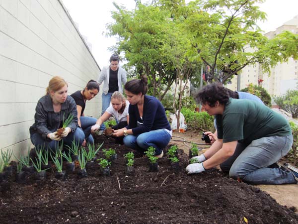 Curso de Gastronomia contará com um jardim de ervas